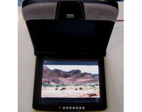 LX-10 TV / FM