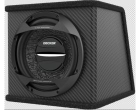 DSW-250