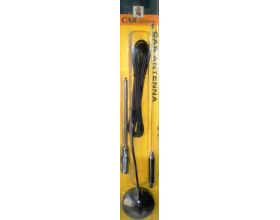 Car Antenna / magnit